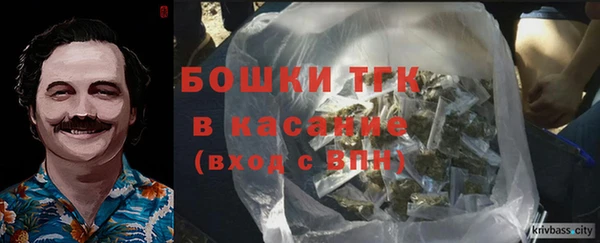 соль ск Каменка