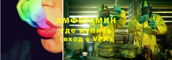 соль ск Каменка