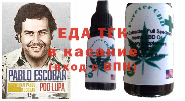 соль ск Каменка