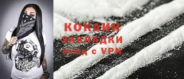 соль ск Каменка