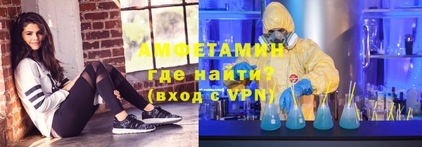 соль ск Каменка