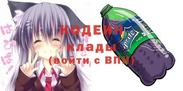 соль ск Каменка