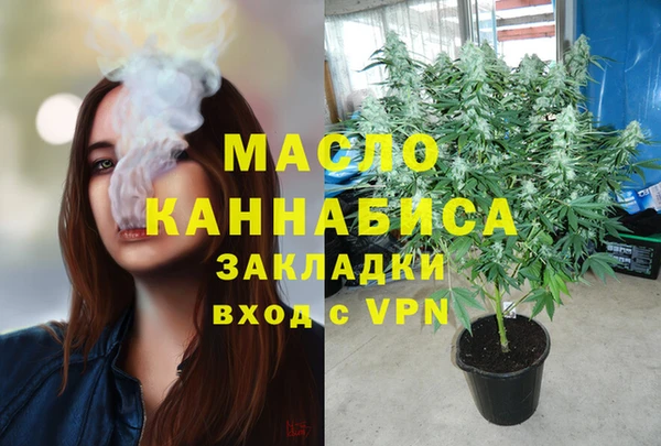 соль ск Каменка