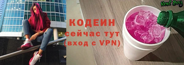 соль ск Каменка